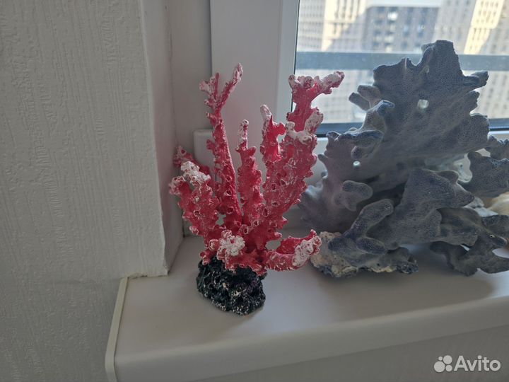 Оформление аквариума