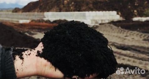 Чернозём Рязанский Земля плодородная аe2