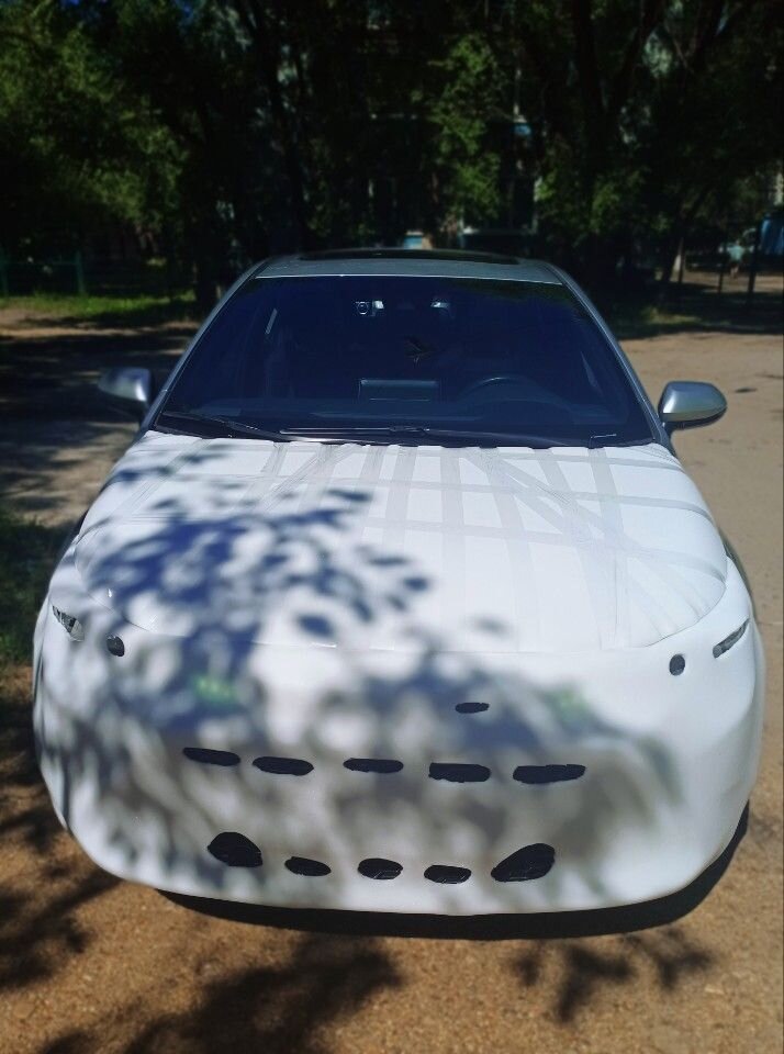 Toyota Levin: фото из отзыва