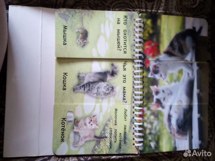 Развлекательная книга с карточками для малышей