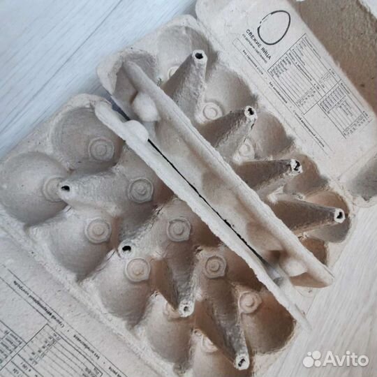 Лотки для яиц