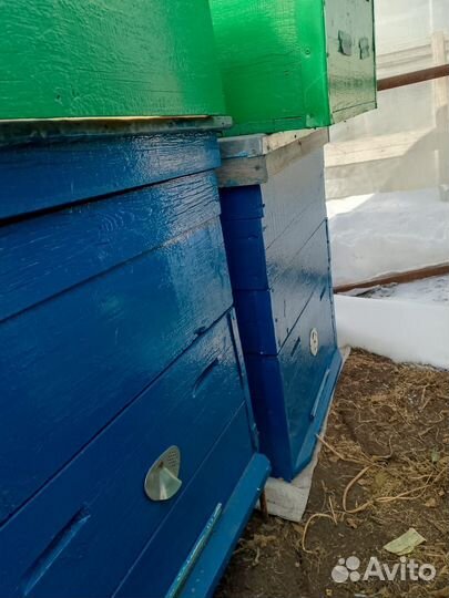 Улики для пчел