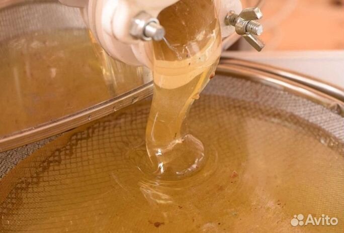 Мед натуральный Алтайский оптом от 16кг