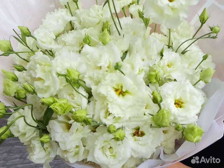 Эустома букет, доставка экстом