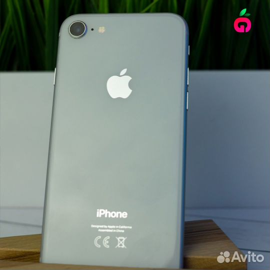 iPhone 8 64 GB White