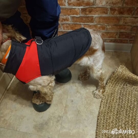 Шубка для собак