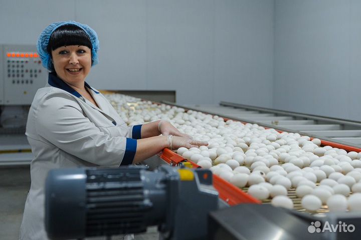 Вакансия рабочего на птицефабрике. Вахта Пермь