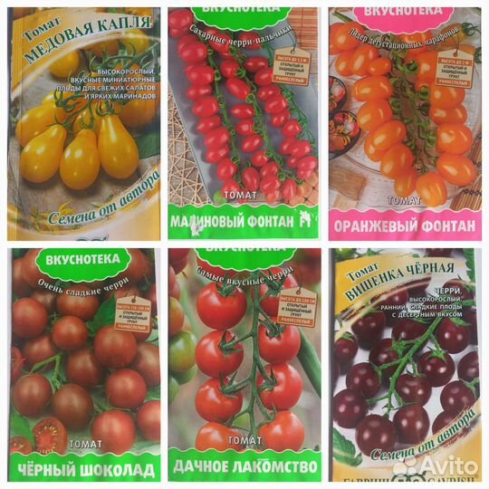 Рассада томата