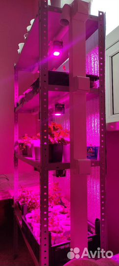 Стеллаж для рассады, фитостеллаж для растений