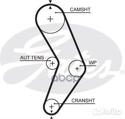 Ремень грм 5662XS Gates