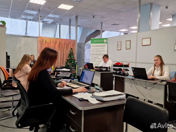 Установление вины в дтп, Экспертиза