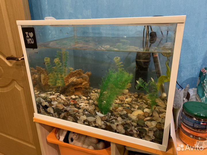 Аквариум