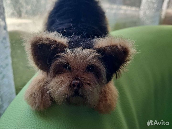 Вязаная собака