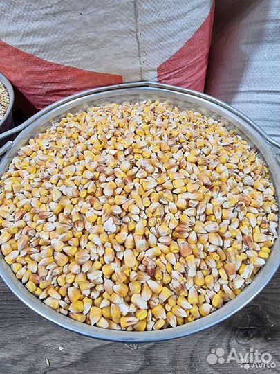 Комбикорм,пшеница,кукуруза,корм для кур