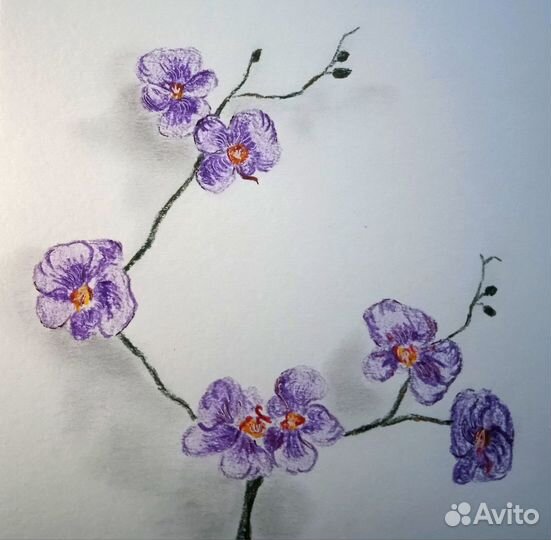 Картина орхидеи