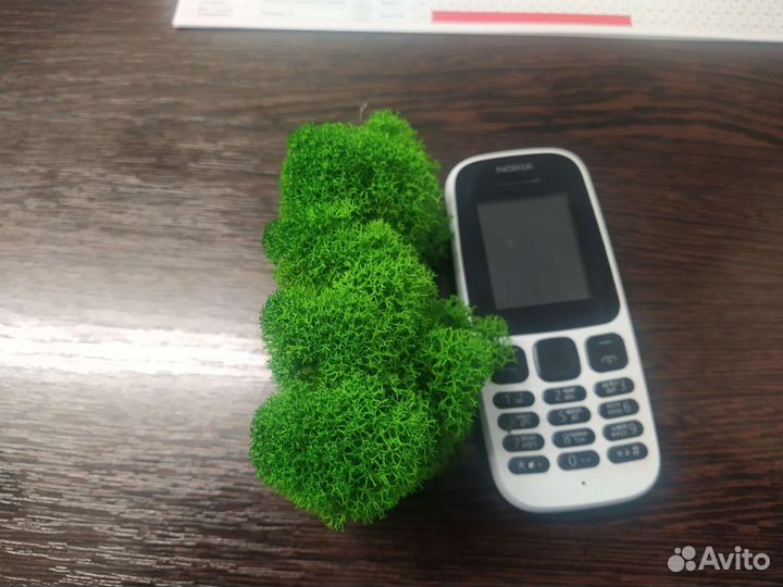 Мох стабилизированный.картины.цыфры