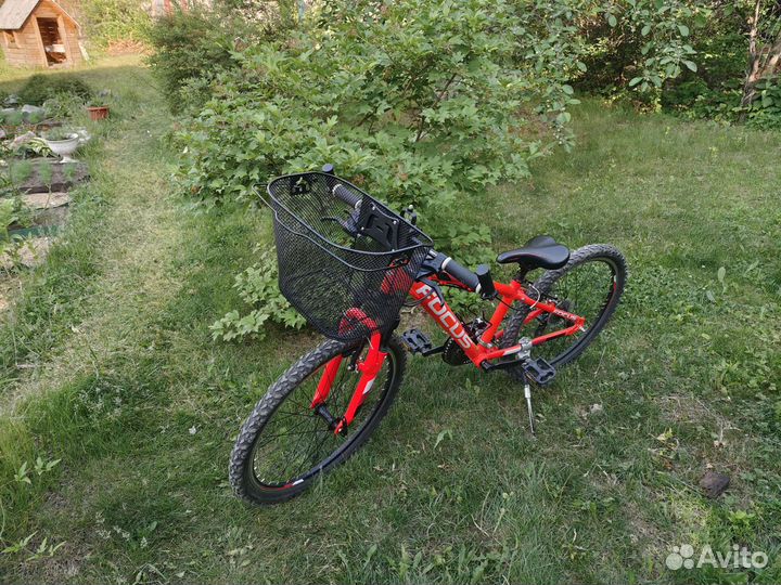 Детский велосипед 24 Focus