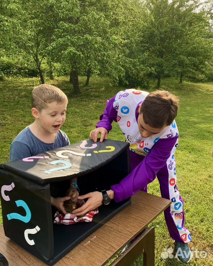 Аниматоры на день рождения