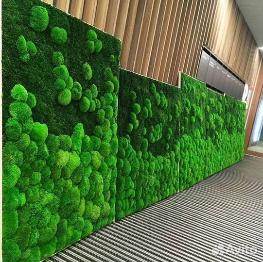 Панно кочки пластовой мох плоский фитокартина