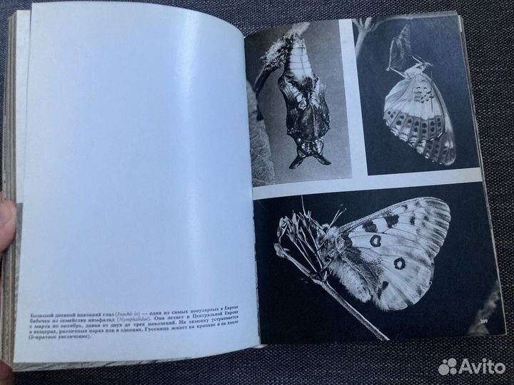 Иллюстрированная энциклопедия животных