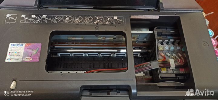 Принтер Epson P50