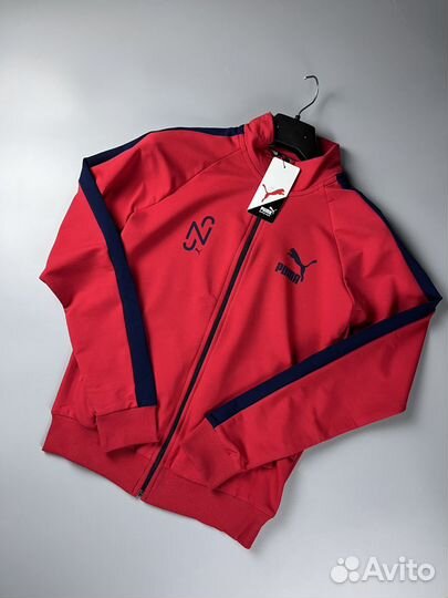 Спортивный Костюм Puma