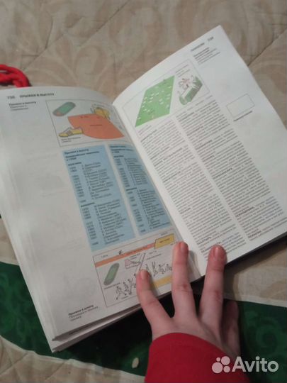 Энциклопедический иллюстрированный словарь