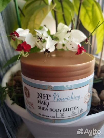 Halo Shea Body Butter Косметика мертвого моря