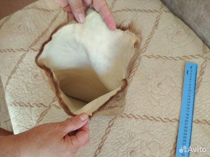 Шкурка нутрии