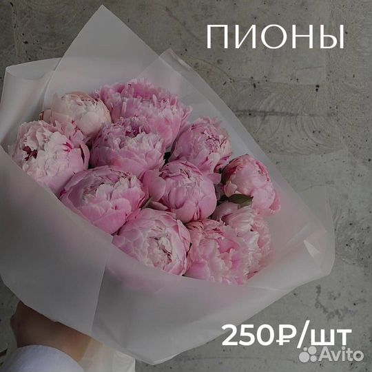 Пионы букет