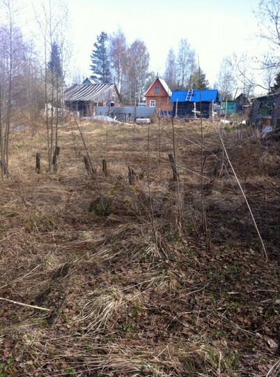 Участок 8 сот. (СНТ, ДНП)