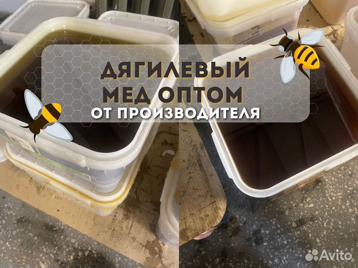 Дягилевый мед свежий оптом