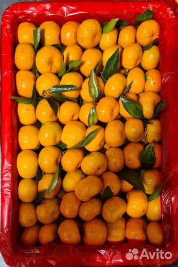 Мандарины сладкие