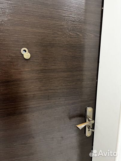 Дверь входная