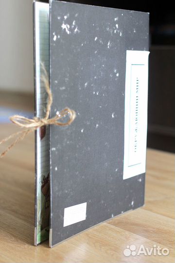 Лэпбук окружающий мир 1-2 класс