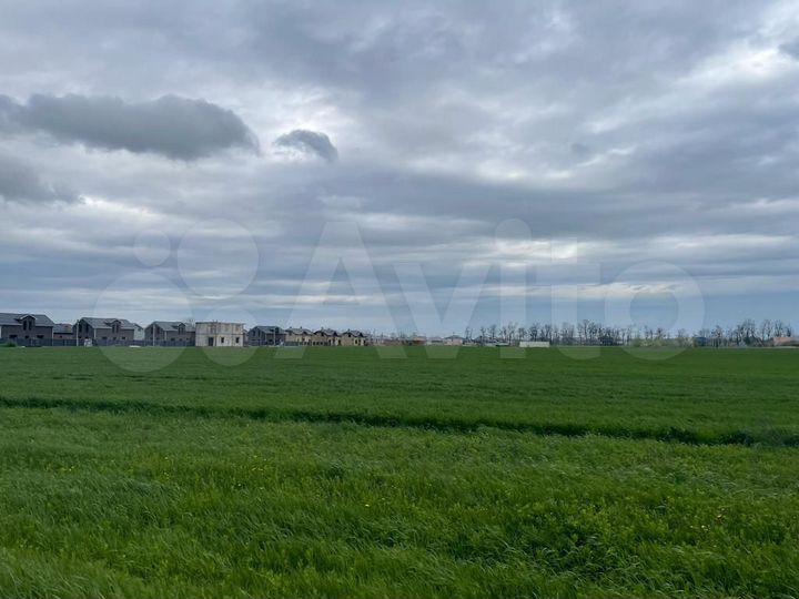 Участок 1,25 га (ИЖС)