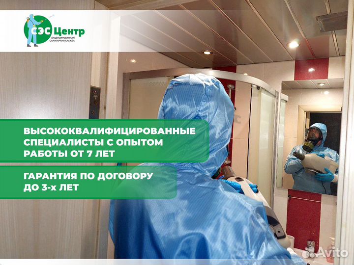 Уничтожение клопов, травить тараканов. Дезинфекция