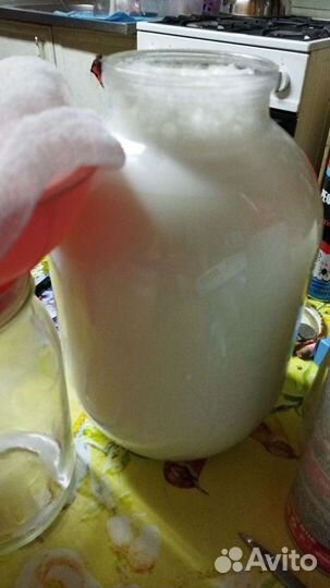 Продам козье и коровье молоко и продукты из него