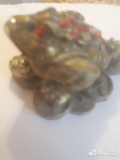 Жаба денежная талисман