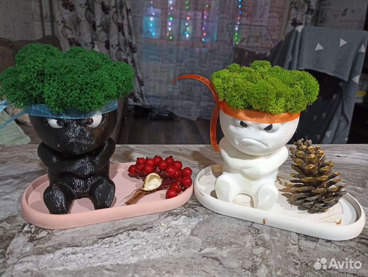 Кашпо Кактус