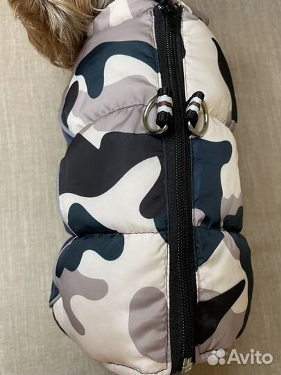 Одежда для собак