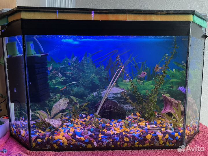 Аквариум 75 л