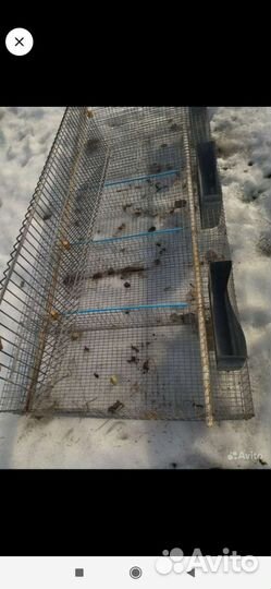 Клетка для кроликов