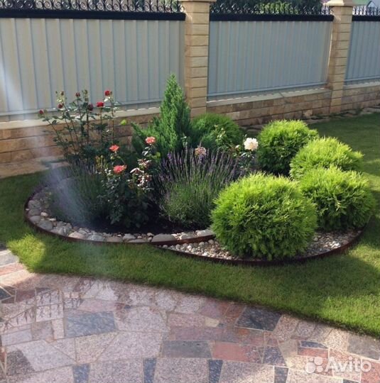 Семена газонной травы