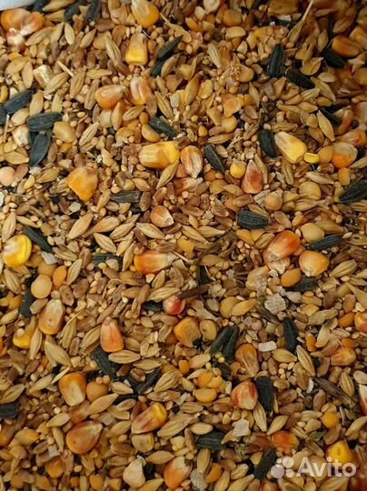 Зерно-корма-премиксы-кормушки-поилки