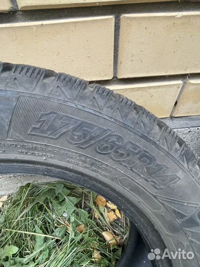 Cordiant Winter Drive 175/65 R14