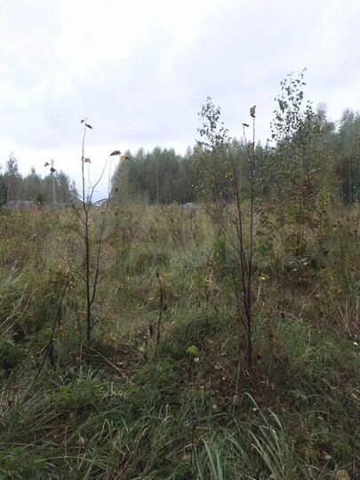 Участок 15 сот. (ИЖС)