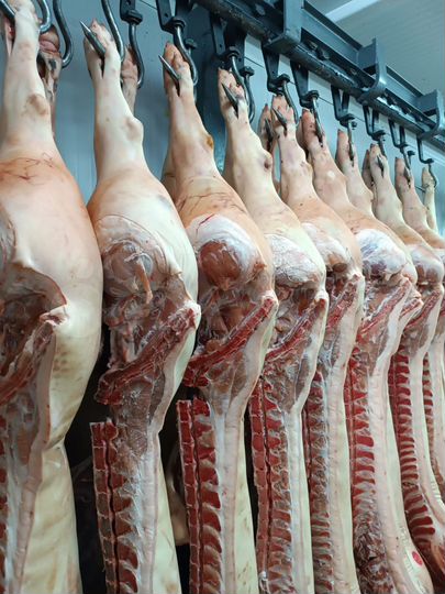 Здание, 1777 м²