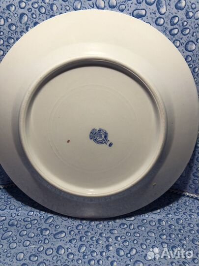 Тарелка вербилки