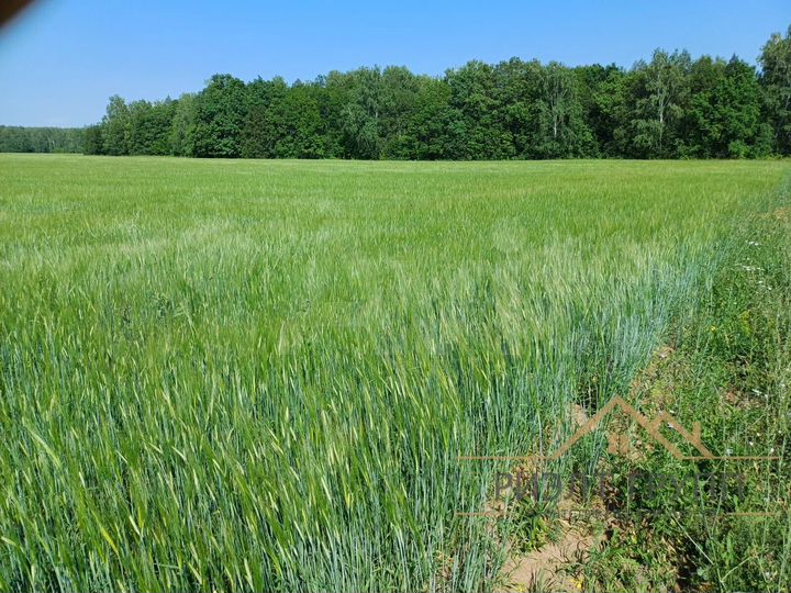 Участок 4,8 га (СНТ, ДНП)